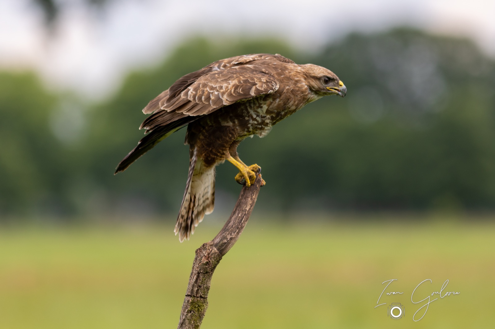 25 juni 2022 145314 1R2A0539